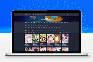 海洋cms仿wp主题RiPro-v2影视自适应模板