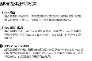 win11release preview频道详细介绍