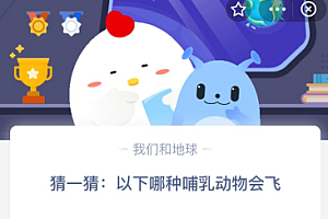 猜一猜:以下哪种哺乳动物会飞?