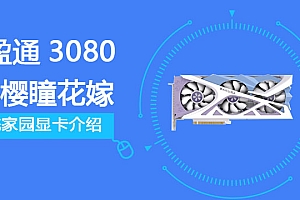 盈通RTX3080 10GD6X 樱瞳花嫁纪念版评测跑分参数介绍