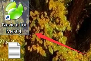 navicat如何自动保存