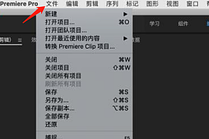 premiere怎么导入视频