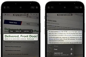 ios16引入系统级翻译功能 举起手机就能翻译