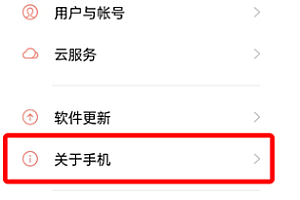 oppok10如何打开开发者选项