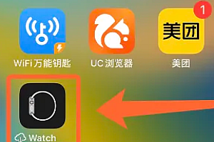 苹果手表怎么换表盘