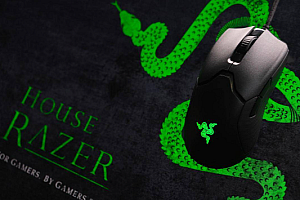 雷蛇驱动叫什么