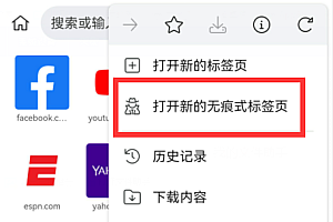 kiwi浏览器安全吗