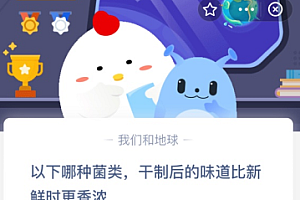 以下哪种菌类,干制后的味道比新鲜时更香浓?