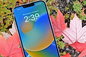 苹果15plus上市时间