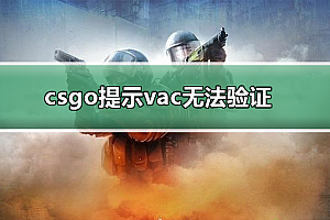 csgo提示vac无法验证