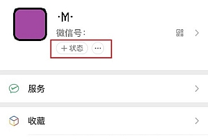 微信情人节限定状态设置后在哪看