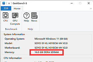 geekbench6可以看内存容量吗