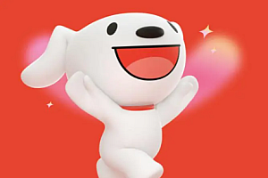 京东百亿补贴无法下单怎么办?京东百亿补贴是京东自营嘛?