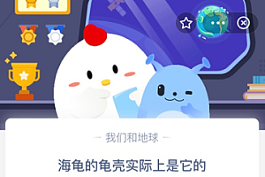 海龟的龟壳实际上是它的?