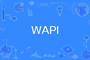 wapi打不打开专业建议