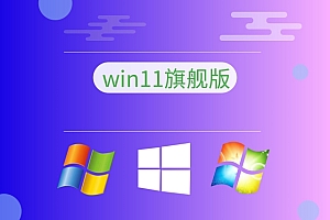 win11安装选择哪个版本
