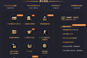 完美世界竞技平台vip详细内容