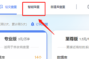 paperyy降重后的论文怎么导出