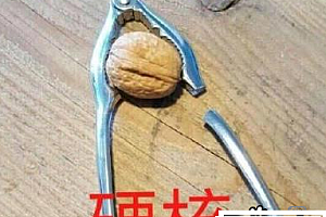 硬核是什么意思网络梗