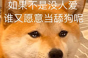 舔狗网络用语介绍