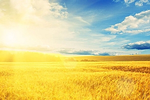 西施铭文2023(西施装备和铭文)