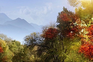 2023是什么年啊(2026年是什么年)