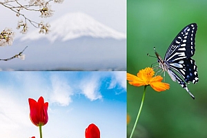 美甲款式图片2023(夏日美甲显白图片)