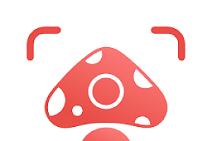 识别蘑菇菌类的软件排行榜2023