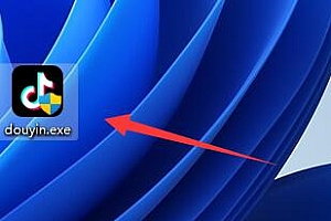 win11电脑下载软件怎么安装